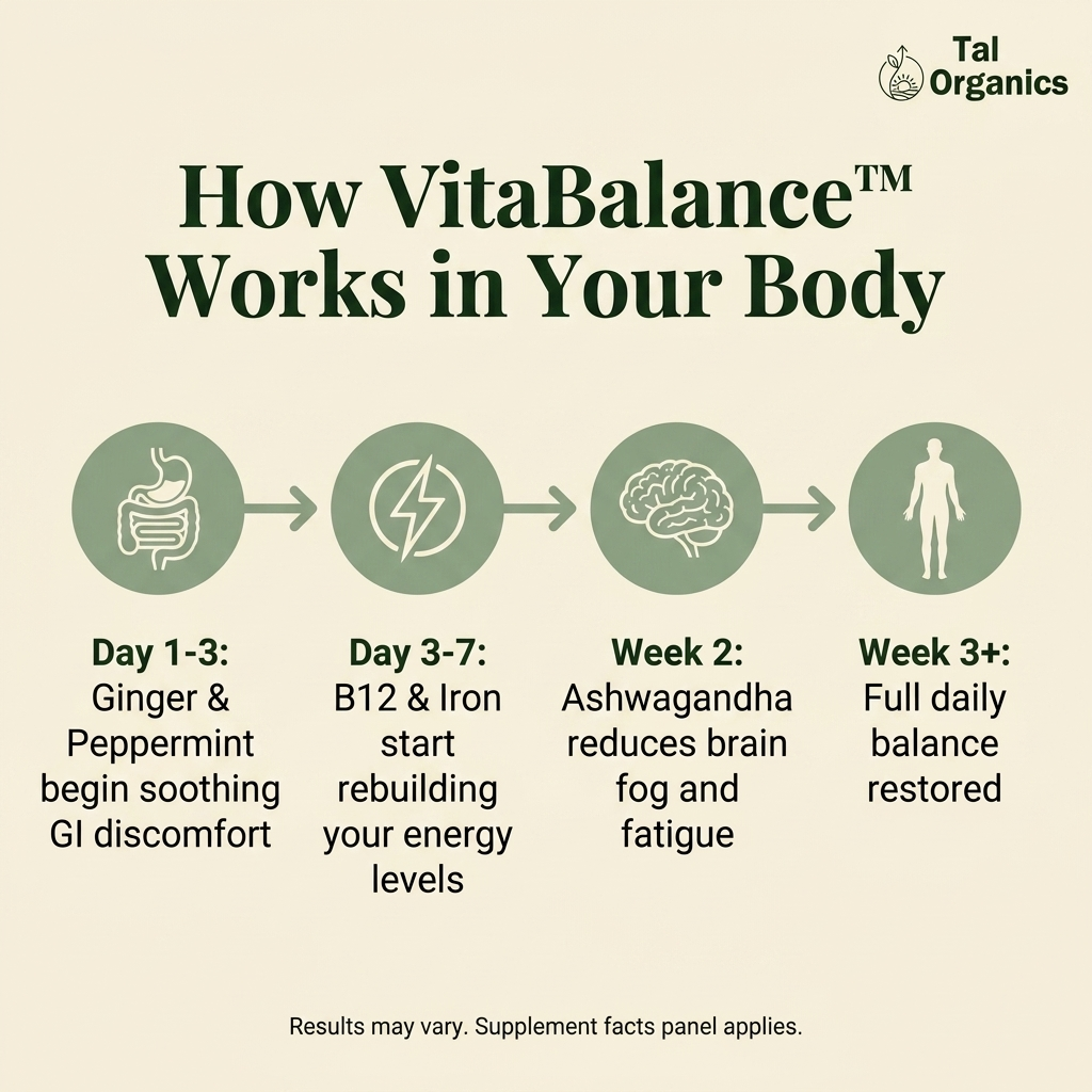 VitaBalance™ Daily GLP-1 Support Vitamin