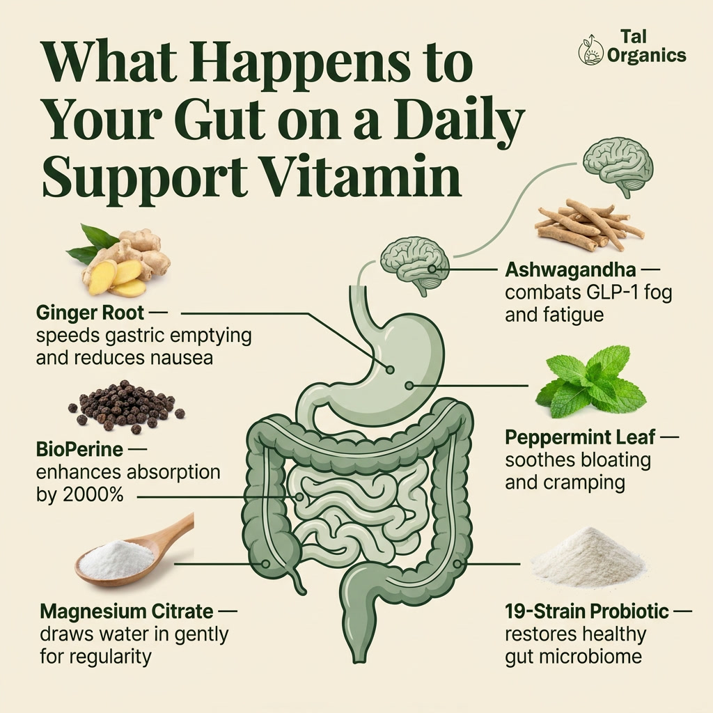 VitaBalance™ Daily GLP-1 Support Vitamin