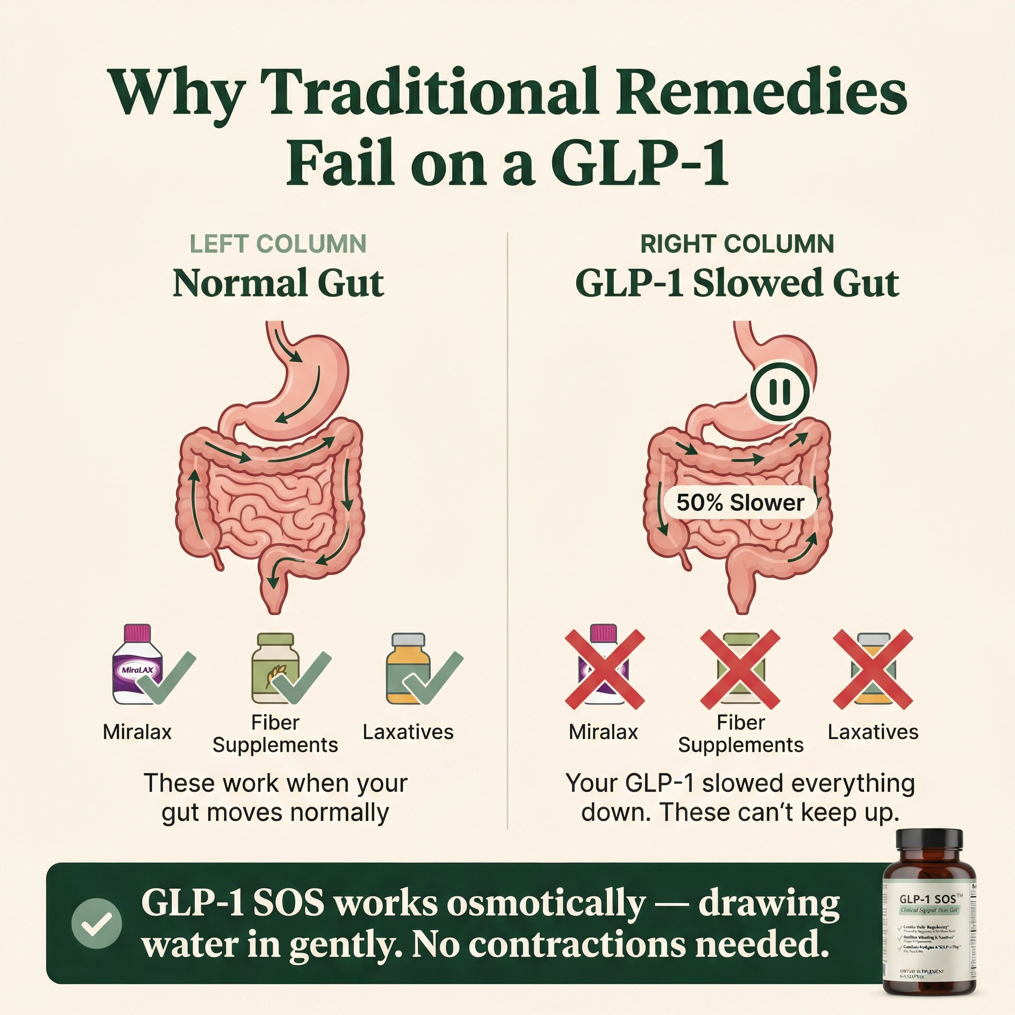 VitaBalance™ Daily GLP-1 Support Vitamin